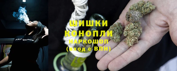 ПСИЛОЦИБИНОВЫЕ ГРИБЫ Алексеевка