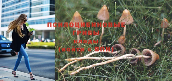 MDMA Алексин