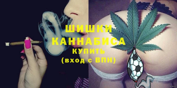 ПСИЛОЦИБИНОВЫЕ ГРИБЫ Алексеевка