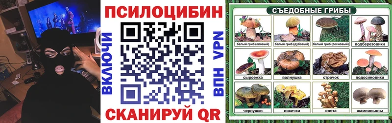Псилоцибиновые грибы Cubensis  Урюпинск 